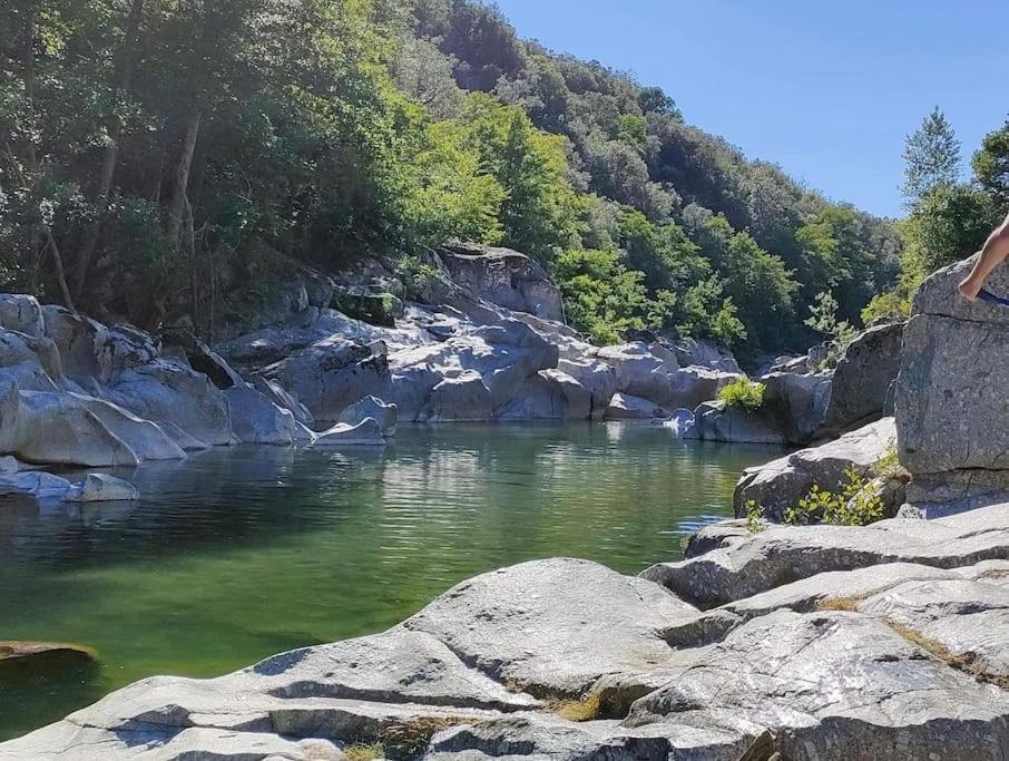 Appartamento Gite Des 3 Vallees - Le Soleil Des Cevennes Saint-Jean-du-Gard Esterno foto