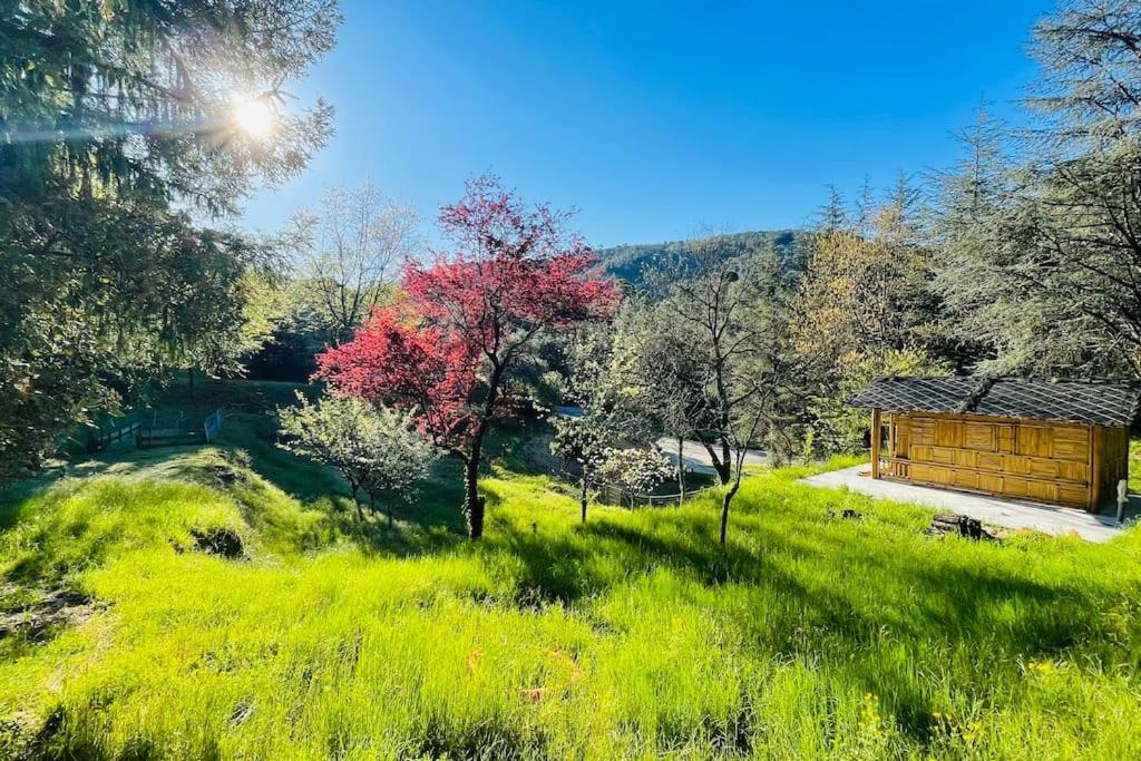 Appartamento Gite Des 3 Vallees - Le Soleil Des Cevennes Saint-Jean-du-Gard Esterno foto