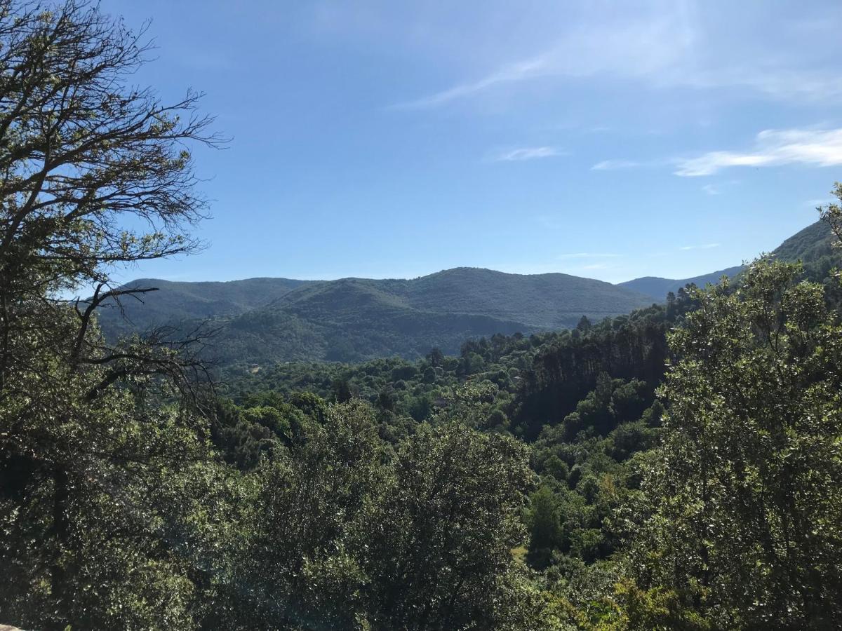 Appartamento Gite Des 3 Vallees - Le Soleil Des Cevennes Saint-Jean-du-Gard Esterno foto