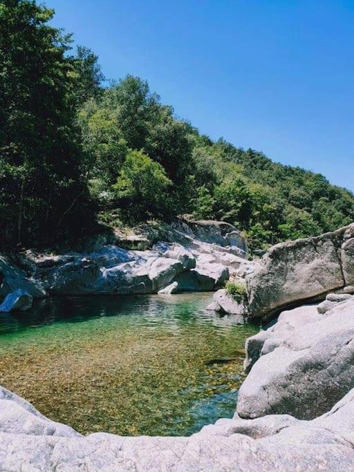 Appartamento Gite Des 3 Vallees - Le Soleil Des Cevennes Saint-Jean-du-Gard Esterno foto