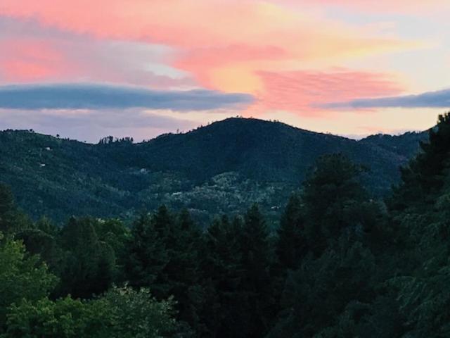 Appartamento Gite Des 3 Vallees - Le Soleil Des Cevennes Saint-Jean-du-Gard Esterno foto