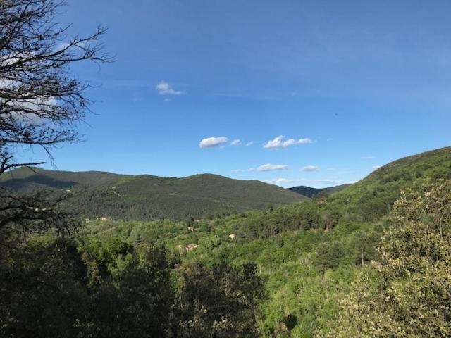 Appartamento Gite Des 3 Vallees - Le Soleil Des Cevennes Saint-Jean-du-Gard Esterno foto